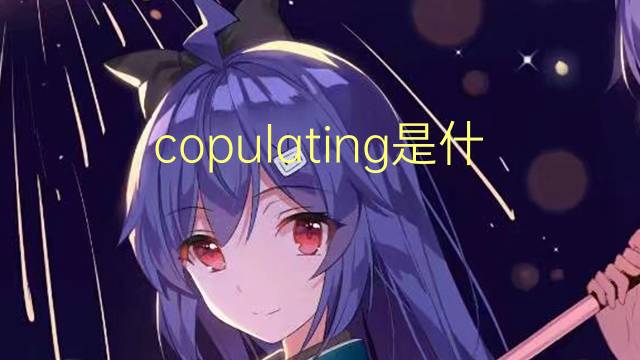 copulating是什么意思 copulating的翻译、读音、例句、中文解释