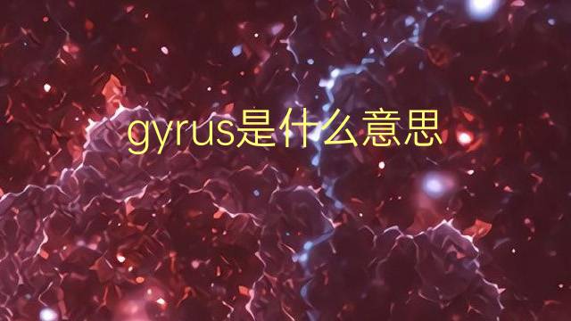 gyrus是什么意思 gyrus的翻译、读音、例句、中文解释