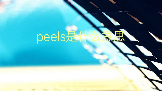 peels是什么意思 peels的翻译、读音、例句、中文解释