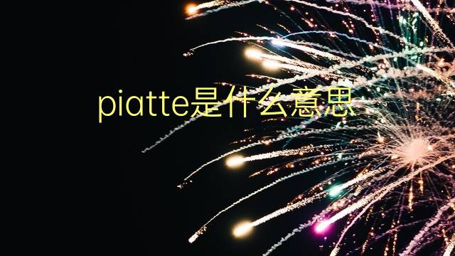 piatte是什么意思 piatte的翻译、读音、例句、中文解释