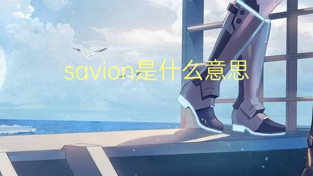 savion是什么意思 英文名savion的翻译、发音、来源