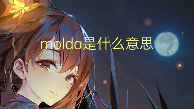 molda是什么意思 molda的翻译、读音、例句、中文解释