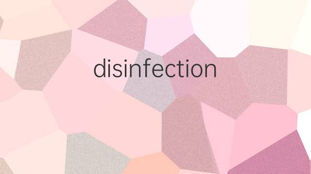 disinfection是什么意思 disinfection的翻译、读音、例句、中文解释