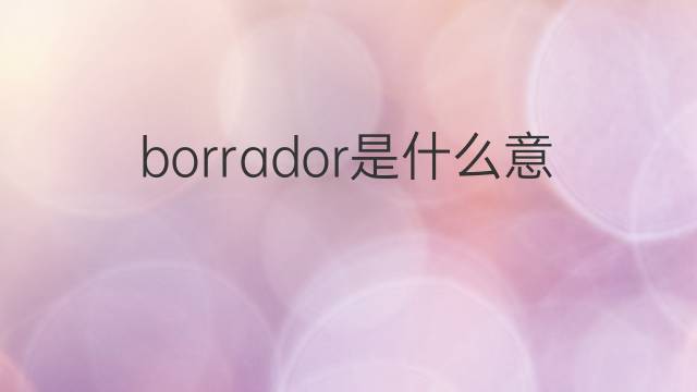 borrador是什么意思 borrador的翻译、读音、例句、中文解释