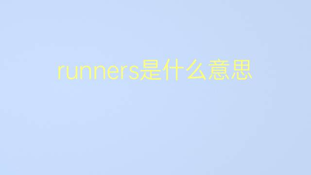 runners是什么意思 runners的翻译、读音、例句、中文解释