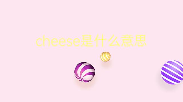 cheese是什么意思 cheese的翻译、读音、例句、中文解释