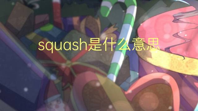 squash是什么意思 squash的翻译、读音、例句、中文解释