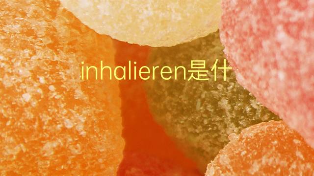 inhalieren是什么意思 inhalieren的翻译、读音、例句、中文解释