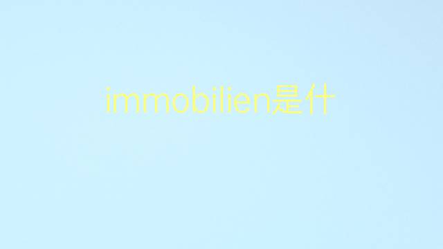 immobilien是什么意思 immobilien的翻译、读音、例句、中文解释