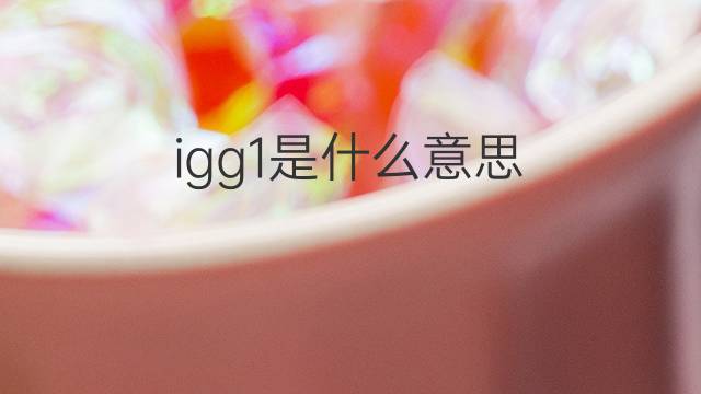 igg1是什么意思 igg1的翻译、读音、例句、中文解释