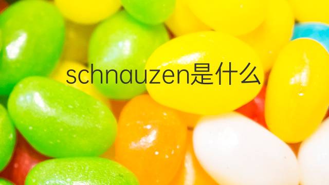 schnauzen是什么意思 schnauzen的翻译、读音、例句、中文解释