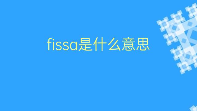 fissa是什么意思 fissa的翻译、读音、例句、中文解释