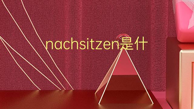 nachsitzen是什么意思 nachsitzen的翻译、读音、例句、中文解释