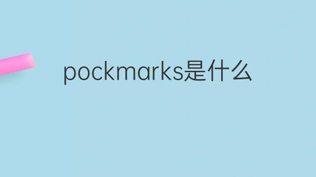 pockmarks是什么意思 pockmarks的翻译、读音、例句、中文解释