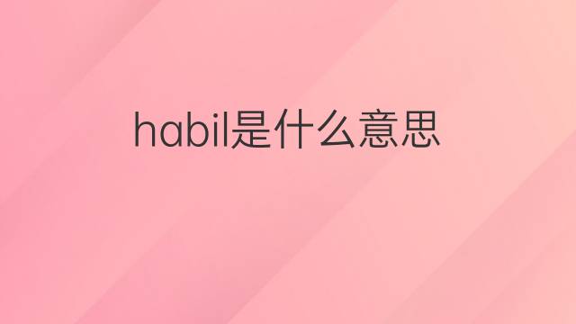 habil是什么意思 habil的翻译、读音、例句、中文解释