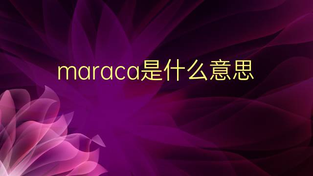 maraca是什么意思 maraca的翻译、读音、例句、中文解释