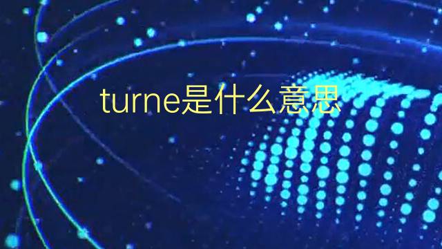 turne是什么意思 turne的翻译、读音、例句、中文解释