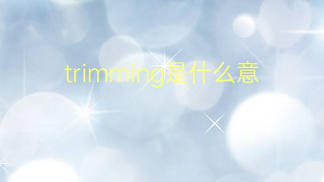 trimming是什么意思 trimming的翻译、读音、例句、中文解释