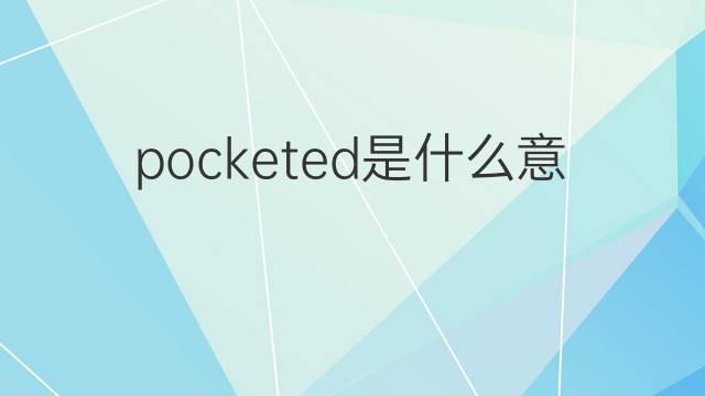 pocketed是什么意思 pocketed的翻译、读音、例句、中文解释