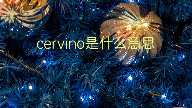 cervino是什么意思 cervino的翻译、读音、例句、中文解释