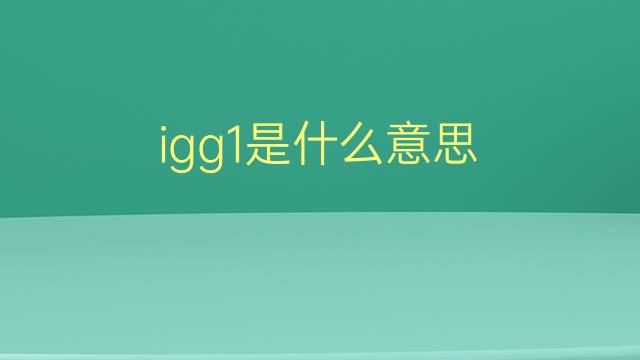 igg1是什么意思 igg1的翻译、读音、例句、中文解释