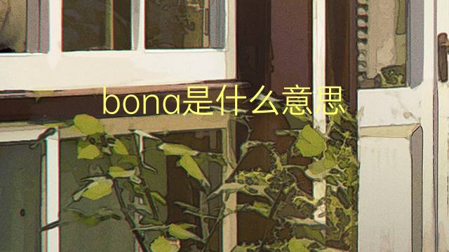 bona是什么意思 bona的翻译、读音、例句、中文解释