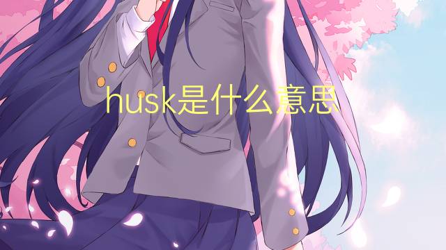 husk是什么意思 husk的翻译、读音、例句、中文解释