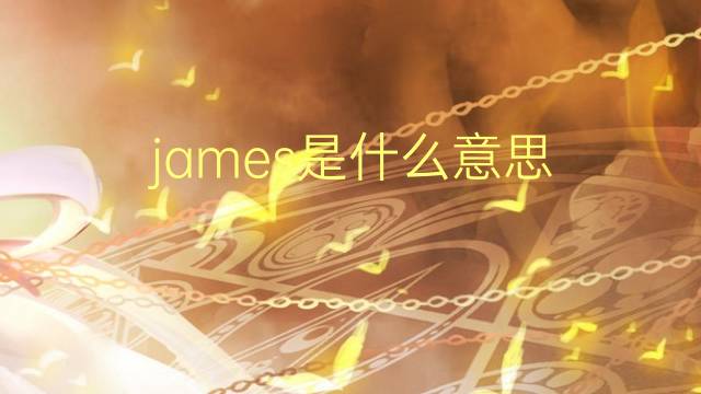 james是什么意思 james的翻译、读音、例句、中文解释