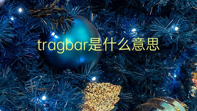 tragbar是什么意思 tragbar的翻译、读音、例句、中文解释