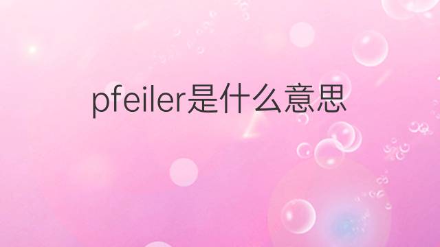 pfeiler是什么意思 pfeiler的翻译、读音、例句、中文解释