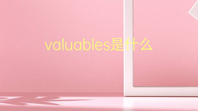 valuables是什么意思 valuables的翻译、读音、例句、中文解释