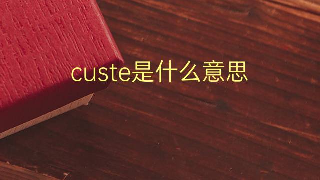 custe是什么意思 custe的翻译、读音、例句、中文解释