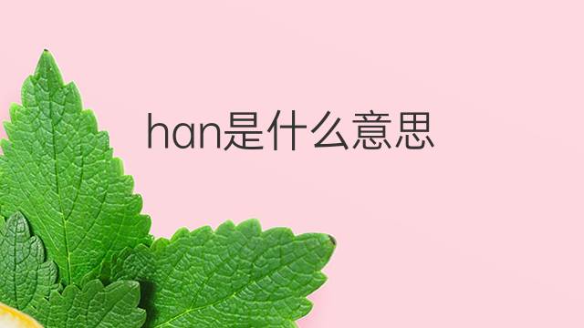 han是什么意思 han的翻译、读音、例句、中文解释