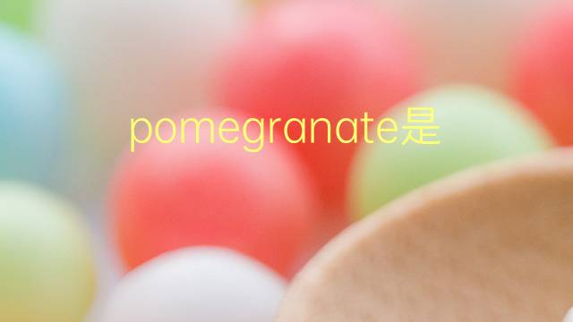 pomegranate是什么意思 pomegranate的翻译、读音、例句、中文解释