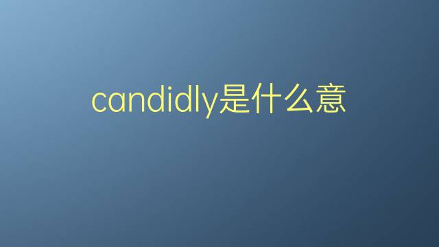 candidly是什么意思 candidly的翻译、读音、例句、中文解释