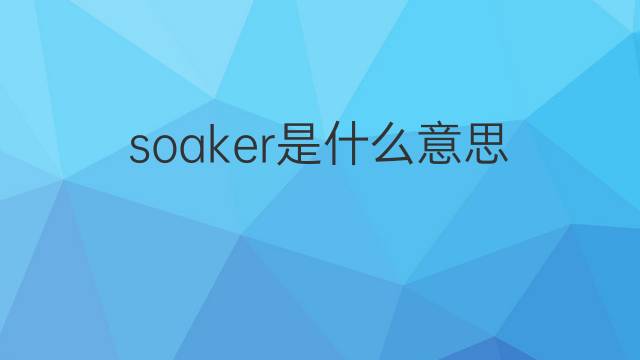 soaker是什么意思 soaker的翻译、读音、例句、中文解释