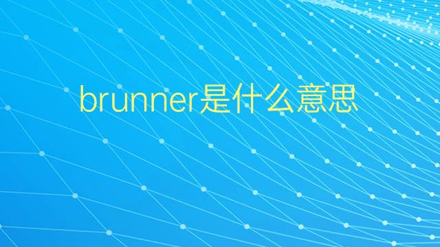 brunner是什么意思 英文名brunner的翻译、发音、来源