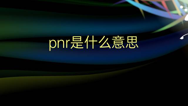 pnr是什么意思 pnr的翻译、读音、例句、中文解释