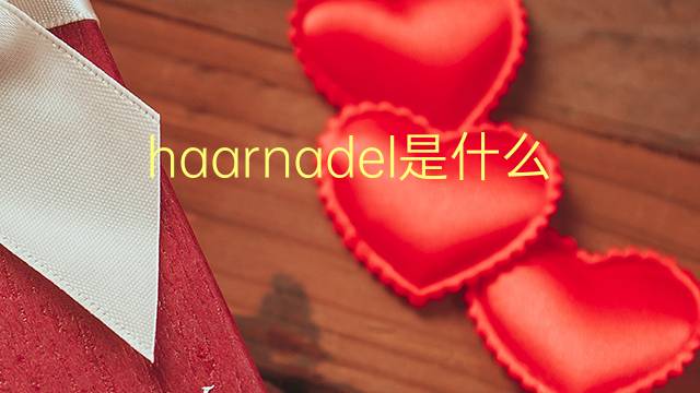 haarnadel是什么意思 haarnadel的翻译、读音、例句、中文解释