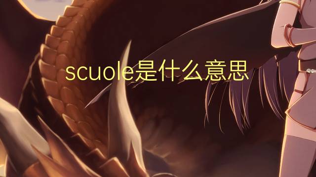 scuole是什么意思 scuole的翻译、读音、例句、中文解释