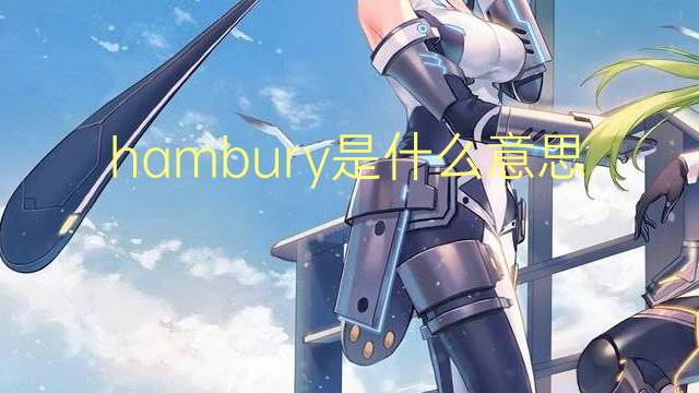 hambury是什么意思 hambury的翻译、读音、例句、中文解释