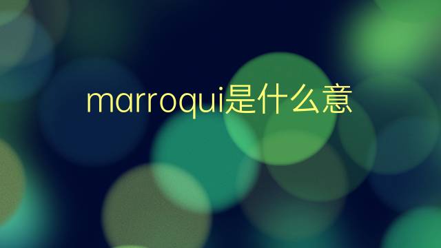 marroqui是什么意思 marroqui的翻译、读音、例句、中文解释