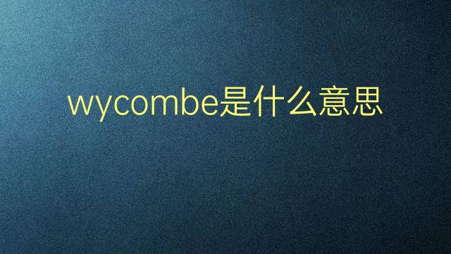 wycombe是什么意思 wycombe的翻译、读音、例句、中文解释