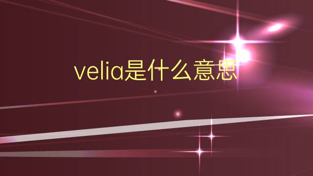 velia是什么意思 英文名velia的翻译、发音、来源