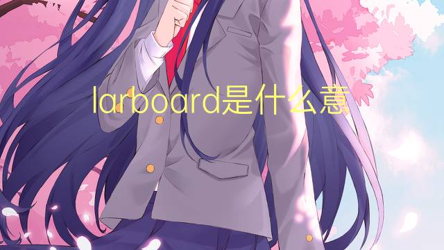 larboard是什么意思 larboard的翻译、读音、例句、中文解释