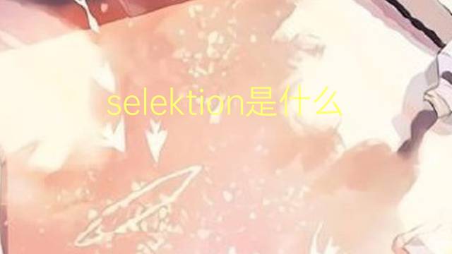 selektion是什么意思 selektion的翻译、读音、例句、中文解释