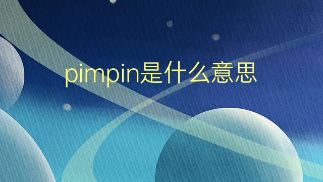 pimpin是什么意思 pimpin的翻译、读音、例句、中文解释