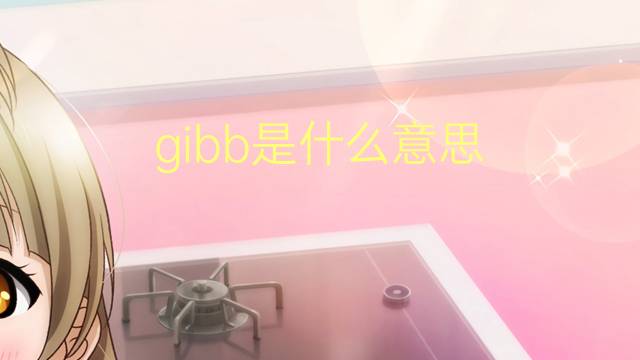 gibb是什么意思 英文名gibb的翻译、发音、来源