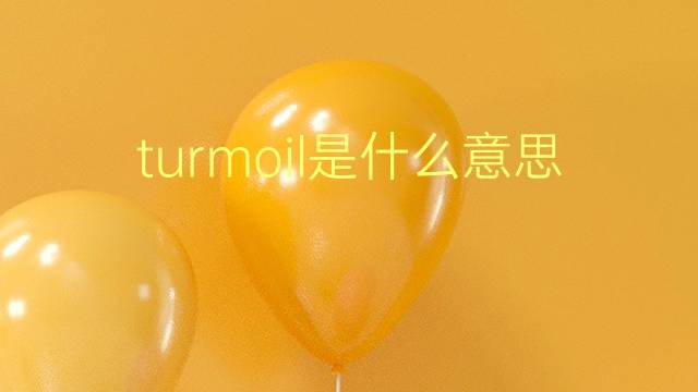 turmoil是什么意思 turmoil的翻译、读音、例句、中文解释