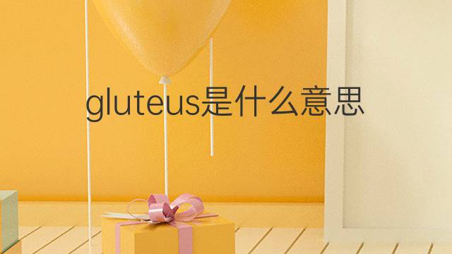 gluteus是什么意思 gluteus的翻译、读音、例句、中文解释